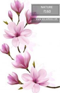 پوستر طبیعت