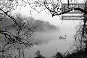 پوستر طبیعت