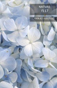 پوستر طبیعت