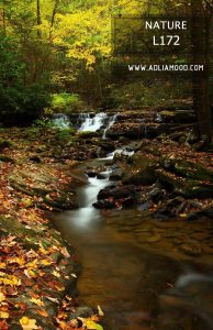 پوستر طبیعت