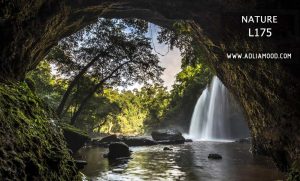 پوستر طبیعت