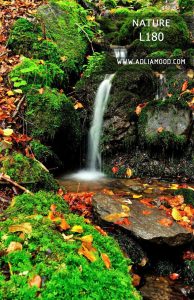 پوستر طبیعت