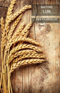 پوستر طبیعت