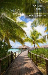 پوستر طبیعت