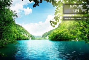 پوستر طبیعت