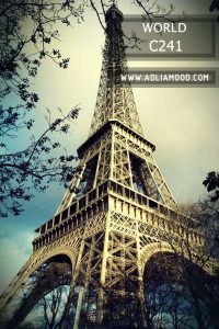 WORLD C241