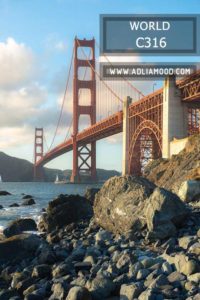 WORLD C316